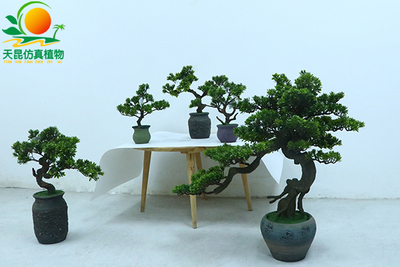 仿真星星叶盆景，仿真思乡叶盆景