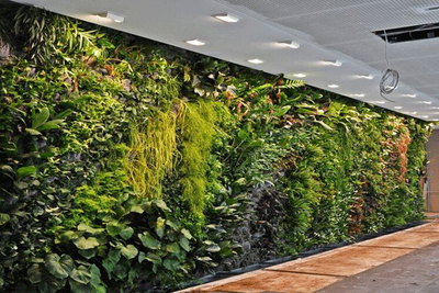 室內仿真植物墻