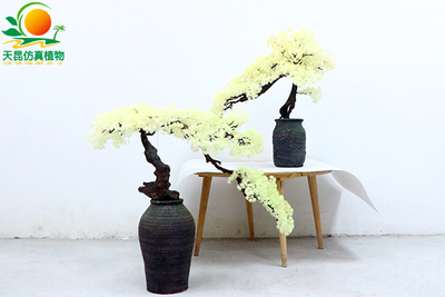 仿真米白幼松盆景