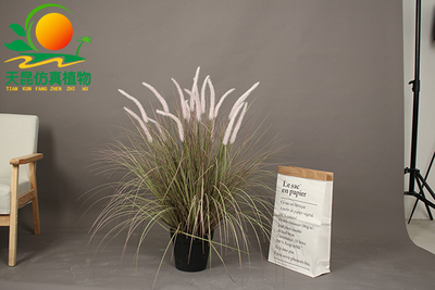 室外阻燃狗尾巴草