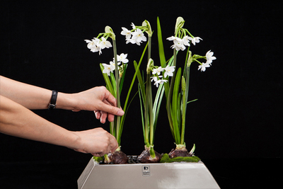 小型仿真花擺件