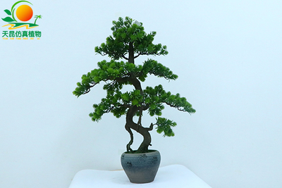 仿真球松盆景，仿真迎客松盆景