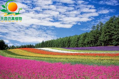 室外阻燃仿真彩虹花海