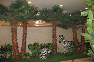 动物园装饰棕榈树