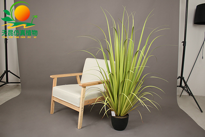 室外阻燃淺綠色寬草