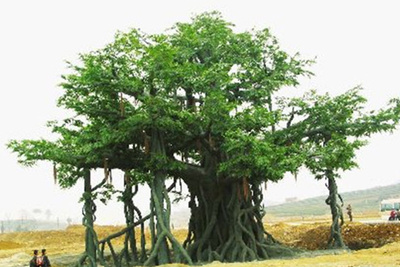 仿真榕树,水泥仿真树,人造树