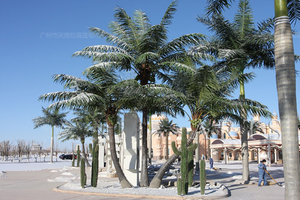 仿真椰子树造景图