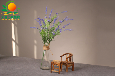 室外阻燃薰衣草