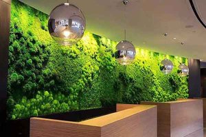 主题餐厅仿真草坪植物墙，仿真青苔植物墙