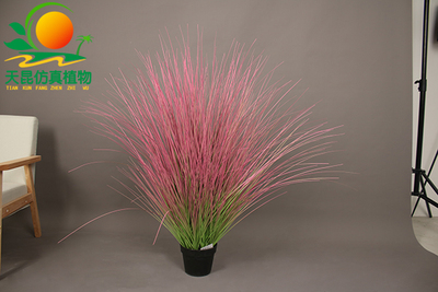 室外阻燃網紅草