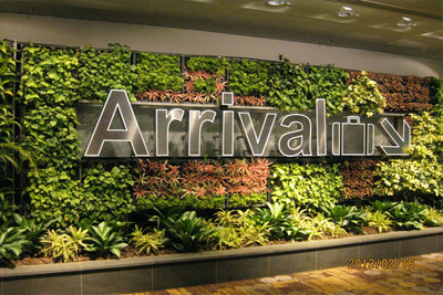 大型仿真草墻，大型仿真植物墻