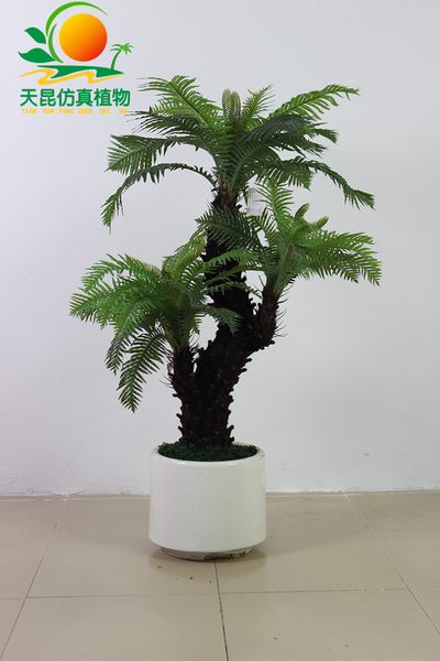 45葉植毛葵 120CM.jpg