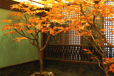 真木杆仿真枫树