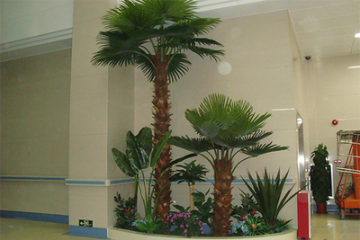 室内仿真棕榈树造景