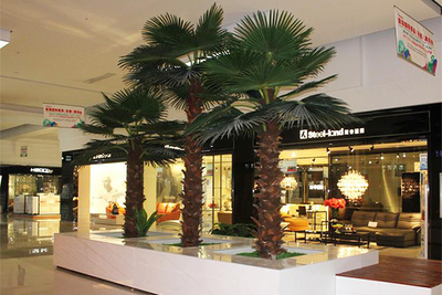 室内仿真棕榈树