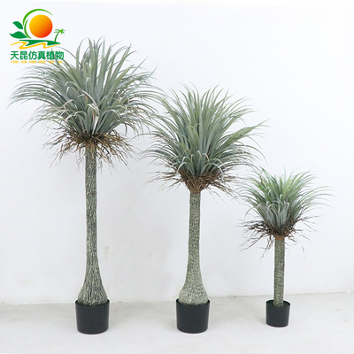 仿真龙舌兰盆栽