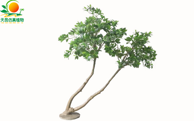 仿真红树林