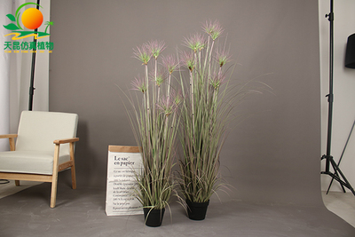 室外阻燃绿色竹节草