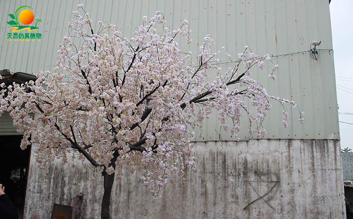 仿真櫻花樹