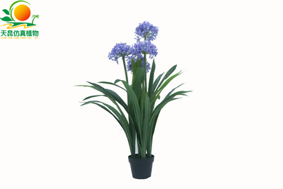 仿真洋水仙盆景