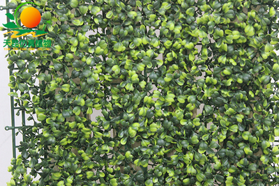 米兰草仿真草皮