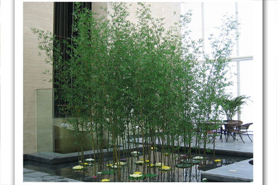 加密型仿真细竹子