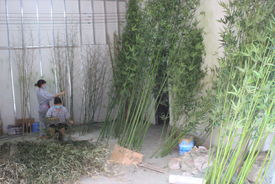 定制仿真竹子，定做假竹子