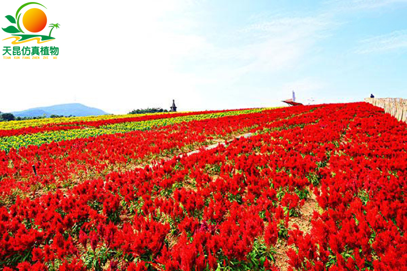 仿真花海2.jpg