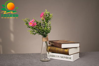 室外阻燃金錢葉