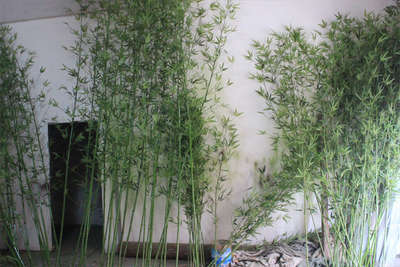 人造假竹子