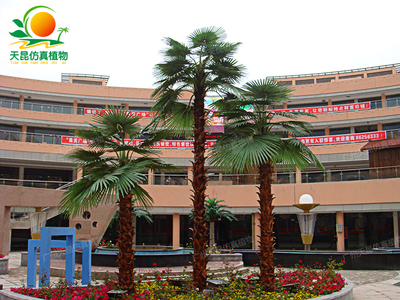 江蘇集美廣場仿真棕櫚樹
