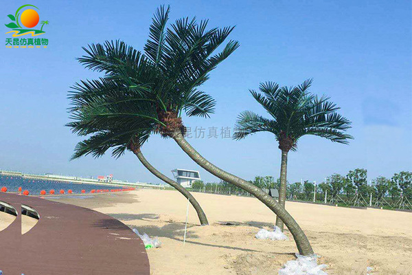 弯杆仿真椰子树，海滩椰子树
