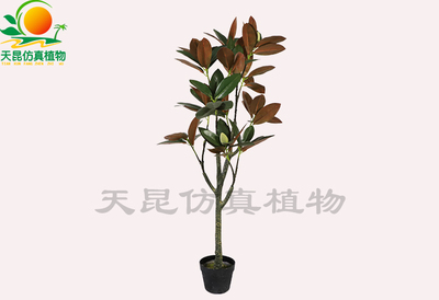 仿真玉蘭花盆景