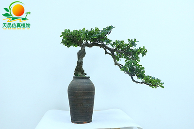 仿真珊榕盆景，仿真迎客松盆景