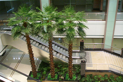 仿真棕榈树