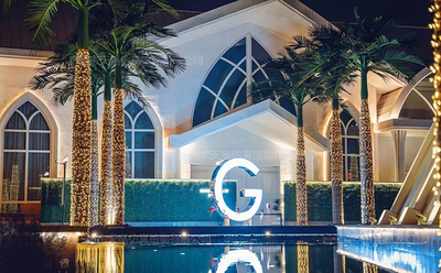 大王椰子樹，LED燈椰子樹