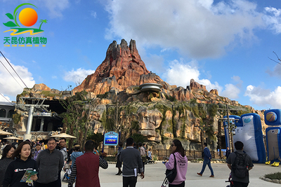 上海海昌海洋公园工程案例