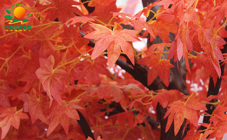 仿真紅楓樹帶給人不一樣的景觀