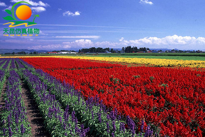 室外阻燃暖色花海