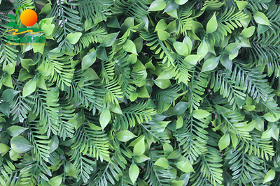 风蕨草仿真草皮