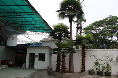 室外仿真棕榈树