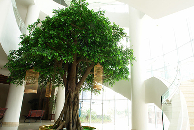 大型仿真榕树，树脂榕树