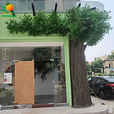 荔湾区明阳茶叶城包柱榕树