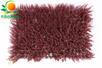 红色尤加利仿真草皮