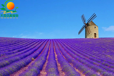 室外阻燃仿真紫花海
