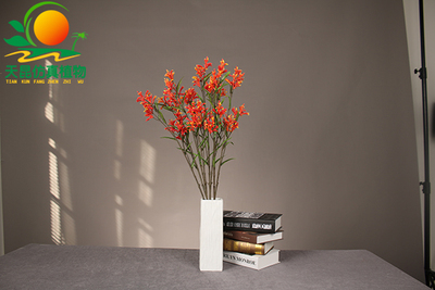 紅色室外阻燃草