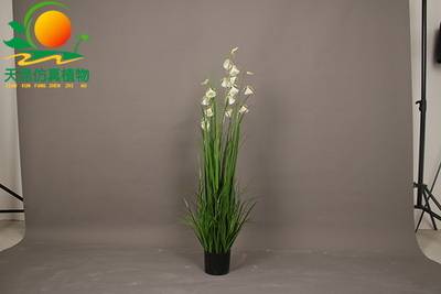 室外阻燃三头水墨兰