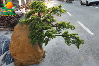 假山松树盆景，仿真松树盆景