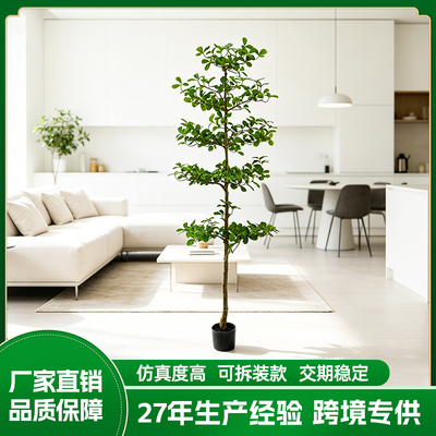 仿真小葉欖仁樹(shù)