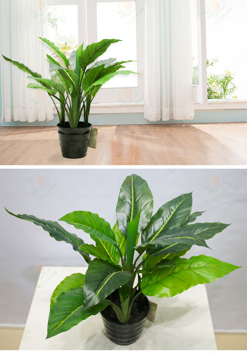 仿真白马王子盆景,仿真白马王子绿植 - 广州天昆仿真植物有限公司